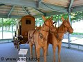 Xanten_vom_24.04.2011 (22)